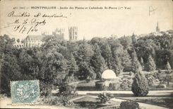 CPA Montpellier Jardin des Plantes et Cathedrale St Pierre 