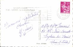 CPA la Cote d'Azur Cannes le Jardin et le Suquet 