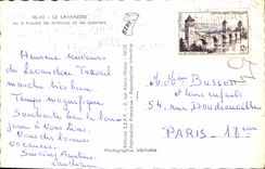 CPA le Lavandou vu a travers les Mimosas et les Palmiers