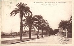 CPA Cannes La Promenade de la Croisette 
