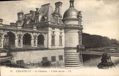 CPA Chantilly Le Chateau L'Aile droite Chien