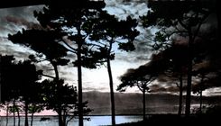 CPA Bassin d'Arcachon Gironde Coucher de Soleil 