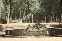 CPA Parc de Versailles Bassin de Flore et Allee du Printemps 