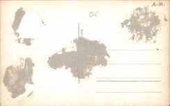 CPA Menton A Travers les Pins 