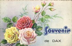 CPA Souvenir de Dax Fleurs
