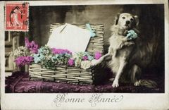 CPA Bonne Annee Chien