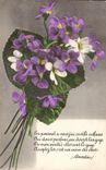 CPA En pensant a vous jai cueille ces fleurs 