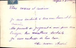 CPA Bonne Annee Fleurs