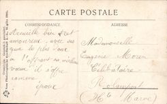 CPA Bonne Annee Femme  cochon Porc