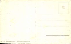 CPA Fleurs Gentiane a tige courte