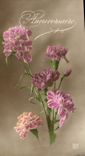 CPA Anniversaire Fleurs