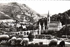 CPA Lourdes la Basilique et le Pic du Jer 