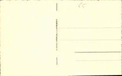 CPA Lourdes la Basilique et le Gave 