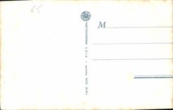 CPA Lourdes Perspective de l'Esplanade 