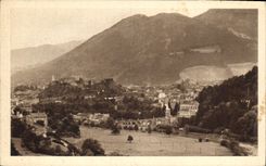 CPA Lourdes la Basilique et le Chateau Fort 