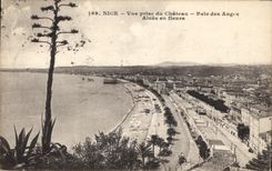 CPA Nice vue prise du Chateau Baie des Anges Aloes en fleurs 