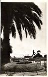 CPA Cannes un Coin des Jardins 