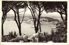 CPA Cote d'Azur Artistique Nice Vue entre les Pins 