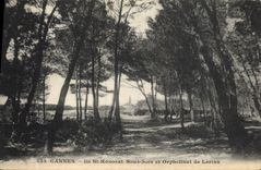 CPA Cannes Ile St Honorat Sous bois et Orphelinat de Lerins 