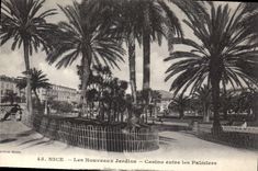 CPA Nice Les Nouveaux Jardins Casino entre les Palmiers 