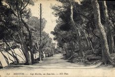 CPA Menton Cap Ferrat un Sous bois 