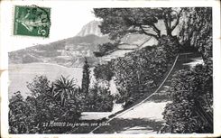 CPA Monaco Les Jardins une allee 