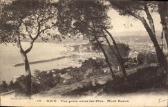 CPA Nice Vue prise entre les Pins Mont Boron 