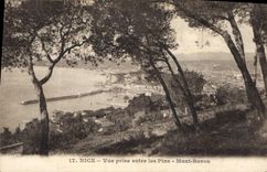 CPA Nice Vue prise entre les Pins Mont Boron 