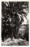 CPA La Douce France Cote d'Azur Nice Massif de Fleurs dans le Jardin Albert I 