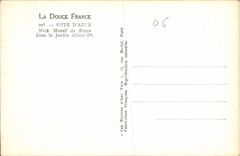 CPA La Douce France Cote d'Azur Nice Massif de Fleurs dans le Jardin Albert I 