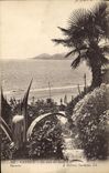 CPA Cannes Un coin du Jardin 