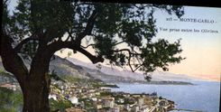 CPA Monte Carlo Vue prise entre les Oliviers 