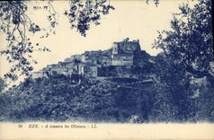CPA Eze a travers les Oliviers 