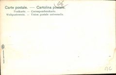 CPA Monte Carlo Le Theatre les Palmiers 