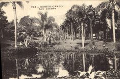 CPA Monte Carlo Les Jardins 