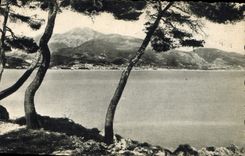 CPA Menton Vue prise du Cap Martin 