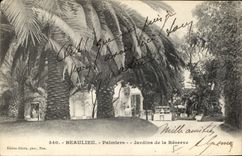 CPA Beaulieu Palmiers Jardins de la Reserve 