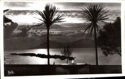 CPA Cannes Coucher de soleil au Parc Albert Ier 
