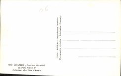 CPA Cannes Coucher de soleil au Parc Albert Ier 