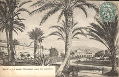 CPA Nice Le Casino Municipal entre les palmiers 
