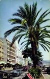 CPA La Cote d'Azur French Riviera Nice La Promenade des Anglais 