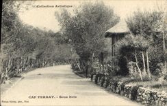 CPA Collection Artistique Cap Ferrat Sous Bois 