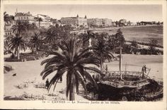 CPA Cannes Le Nouveau Jardin et les Hotels 