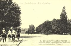 REPRO Paris Bois de Boulogne Allee de Longchamp Cheval