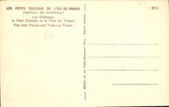 CPA Les Petit Tableaux de L'Ile de France Chateau de Chantilly Les Chateaux le Petit Chateau et la T