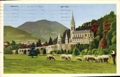 CPA Lourdes La Basilique Vue de la Prairie de la Grotte 