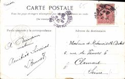 CPA Pyrenees Pont Napoleon a Saint Sauveur 