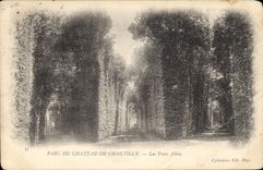 CPA Parc du Chateau de Chantilly Les Trois Allees 
