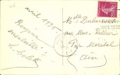 CPA Nice Palmiers du Jardin Public 