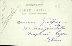 CPA Nice Allee des Palmiers au Chateau 